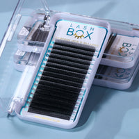 5D W Lash C/CC CURL 0.07 16 LINES