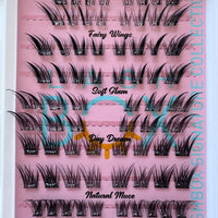 Lashbox Signature Collection – Pre-Glued DIY Lash Collection