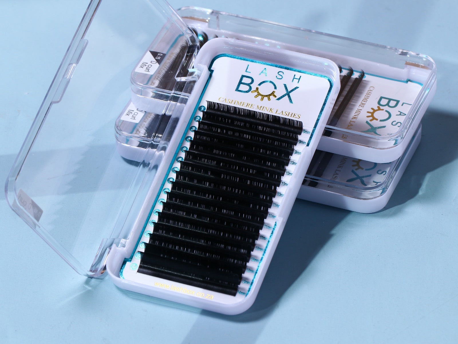 CASHMERE MINK VOLUME TRAYS | Lash Box Pty Ltd