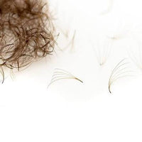 4D/6D 0.07 pro-made lashes - Dark brown