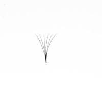 eyelash extensions