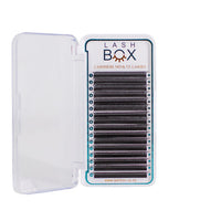 eyelash extensions