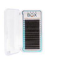 DOUBLE VELVET FLAT LASH TRAYS B/C/CC