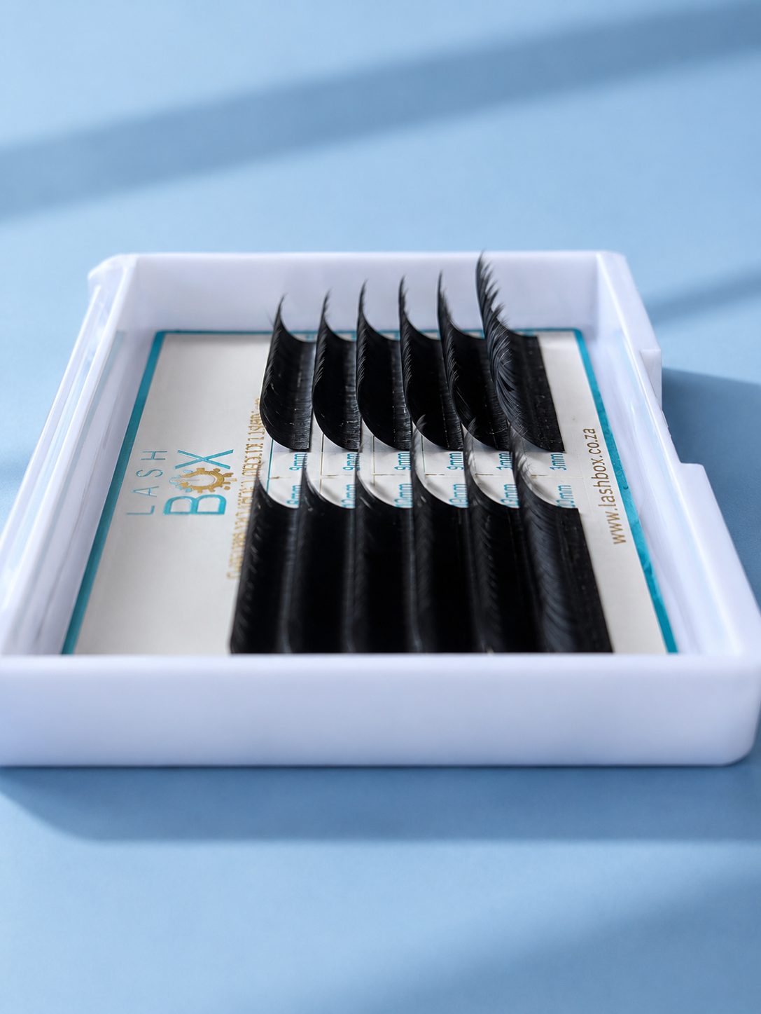VIXEN YY LASH C CURL 0.07 12 rows