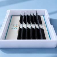 VIXEN YY LASH C CURL 0.07 12 rows