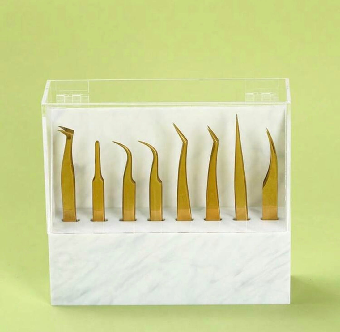 Tweezer Stand Holder with a Cover