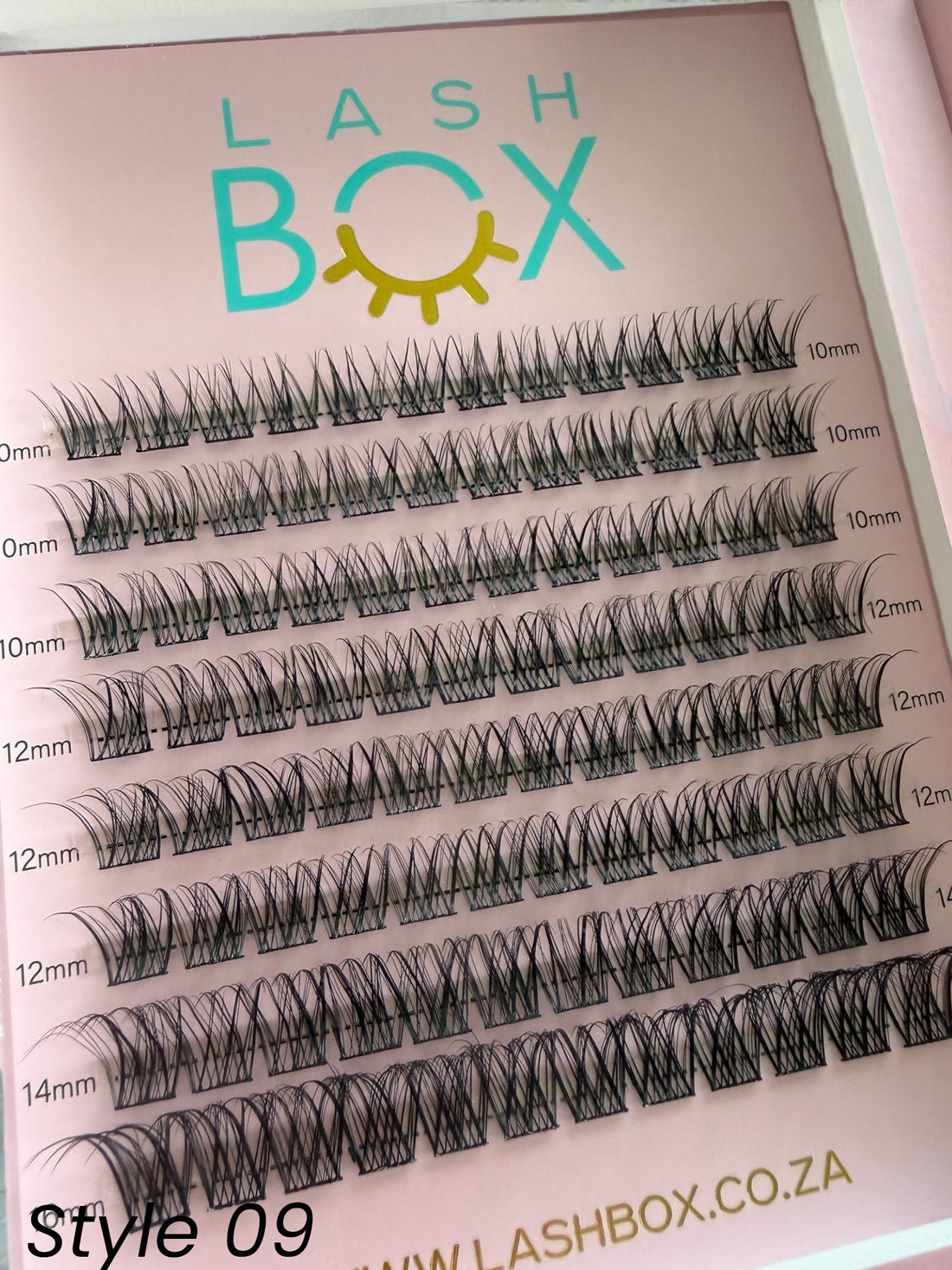 Lashbox DIY / Cluster/ Segment lashes Home Kit-Style 11