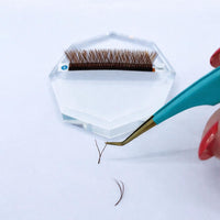 Dark Brown YY LASH C CURL 0.07 16 LINES Mix 8-13mm