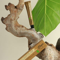 Thuya Vegan Regenerating Cream 15ml