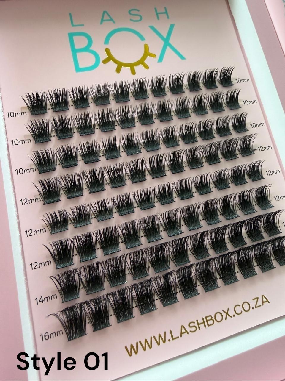 Lashbox DIY / Cluster/ Segment lashes Home Kit