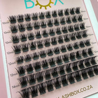 Lashbox DIY / Cluster/ Segment lashes Home Kit