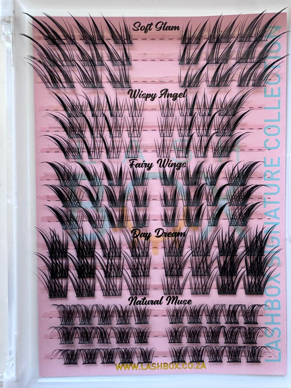 Lashbox Signature Collection – DIY Lash Collection