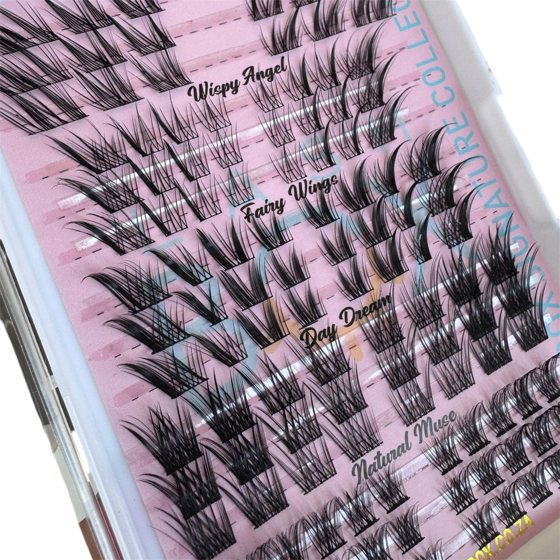 Lashbox Signature Collection – DIY Lash Collection