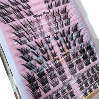 Lashbox Signature Collection – DIY Lash Collection